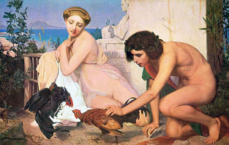 Cock-Fight